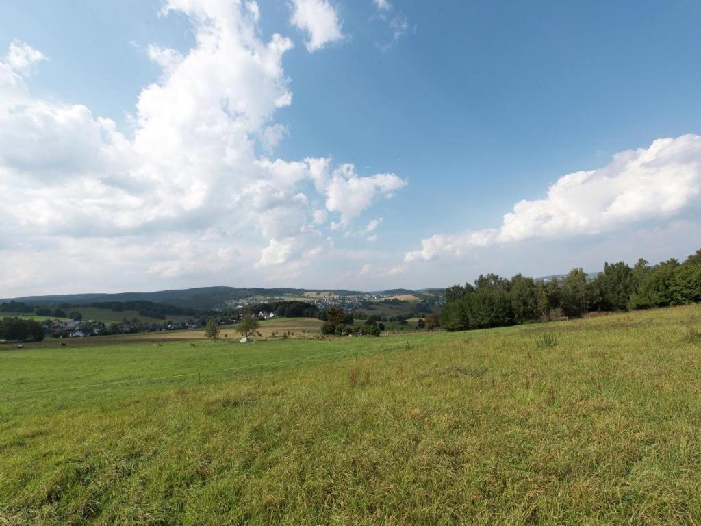 Ferienwohnung Ripa Erzgebirge In Schwarzenberg 施瓦岑贝格 外观 照片